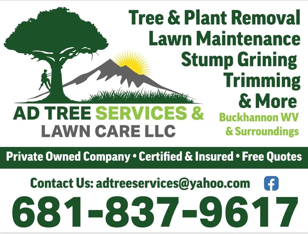 Trusted yard cleanup service for residential properties across Buckhannon, WV - AD Tree Services and Lawn Care