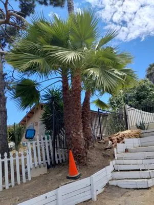 ADA Landscaping Service Logo