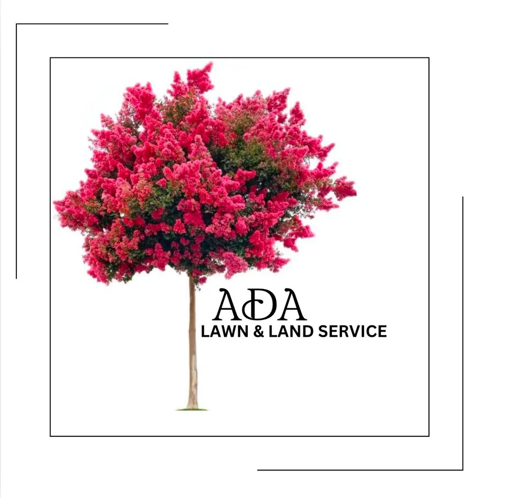 Professional residential landscaping for year-round maintenance in Durham, NC by ADA Lawn and Land Service
