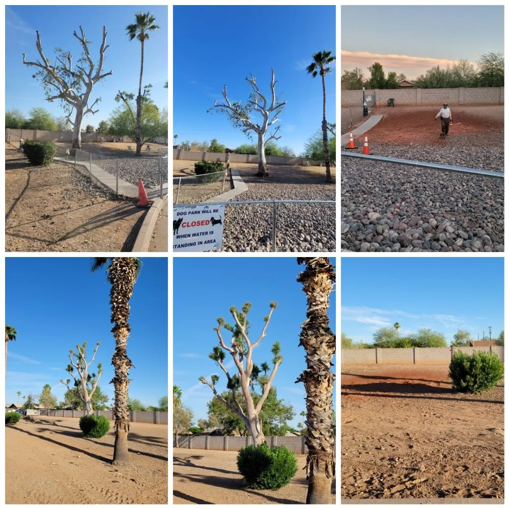 Expert residential landscaping in Mesa, AZ - Adal Landscape Services