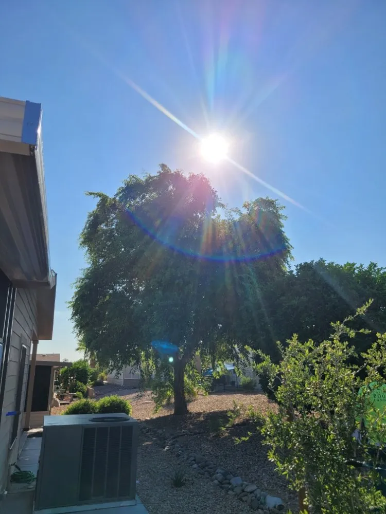 Top-rated landscaping services with custom design across Mesa, AZ - Adal Landscape Services