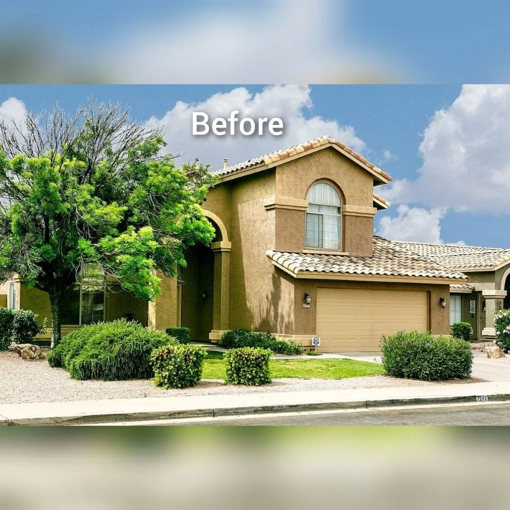 Expert yard cleanup service with custom design in Mesa, AZ by Adal Landscape Services