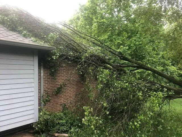 Professional yard cleanup service in Mooresville, IN by Adam Albers Landscaping & Concrete