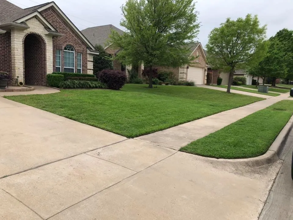 Trusted lawn care service experts serving Benbrook, TX - Adam DeLeon Lawn Care