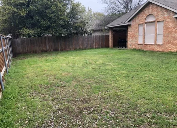 Reliable lawn mowing service experts serving Benbrook, TX - Adam DeLeon Lawn Care