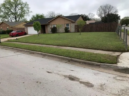 Adam DeLeon Lawn Care Logo