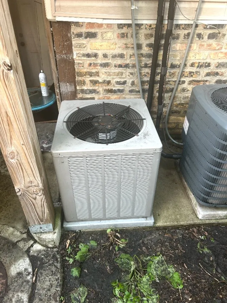 Affordable lawn care service with custom design across Chicago, IL - Adam Does It