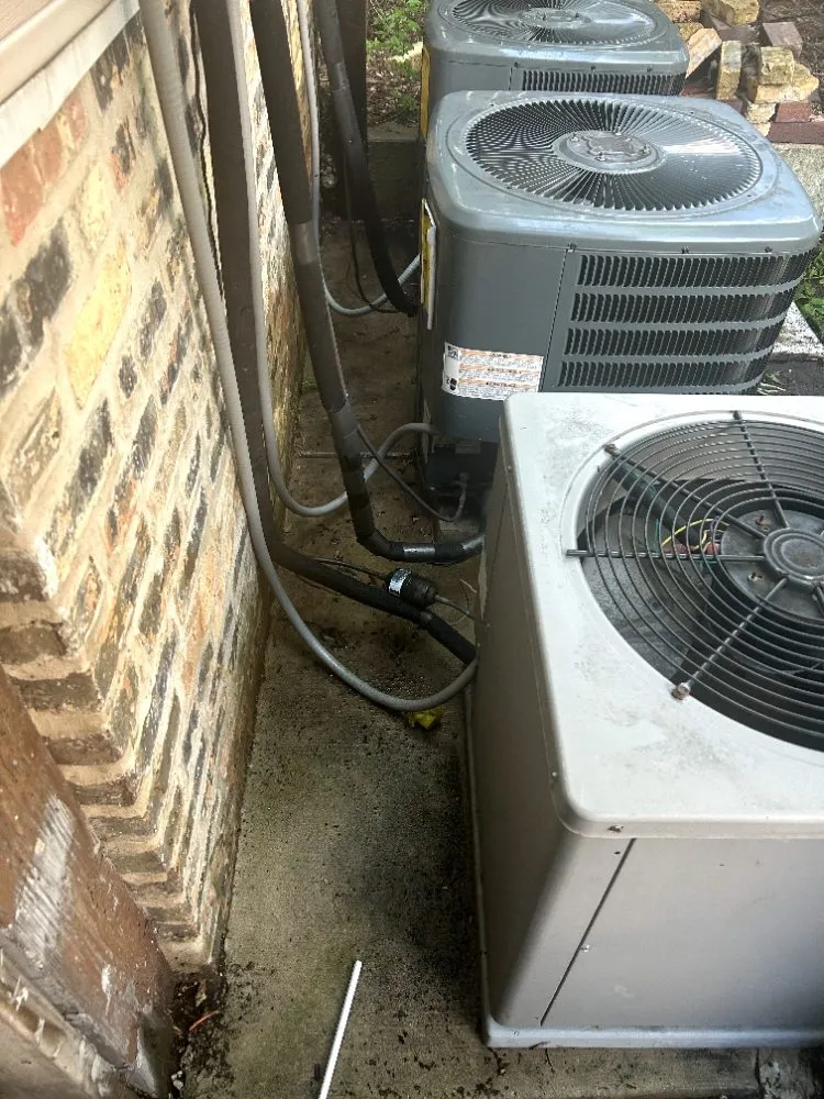 Affordable yard maintenance experts serving Chicago, IL - Adam Does It