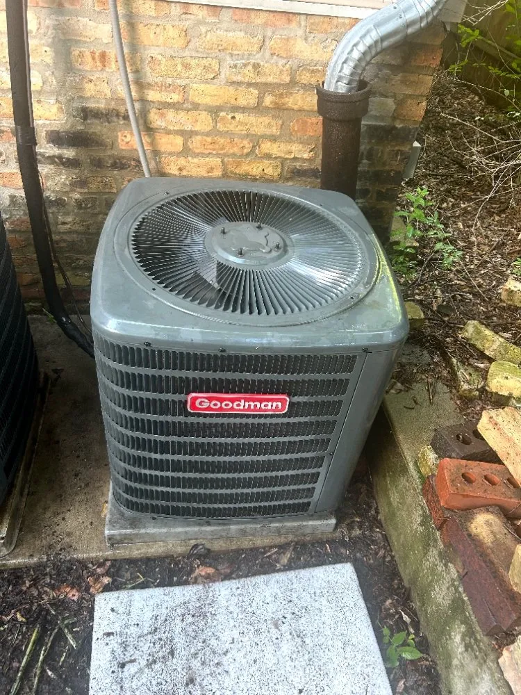 Trusted yard cleanup service in Chicago, IL by Adam Does It