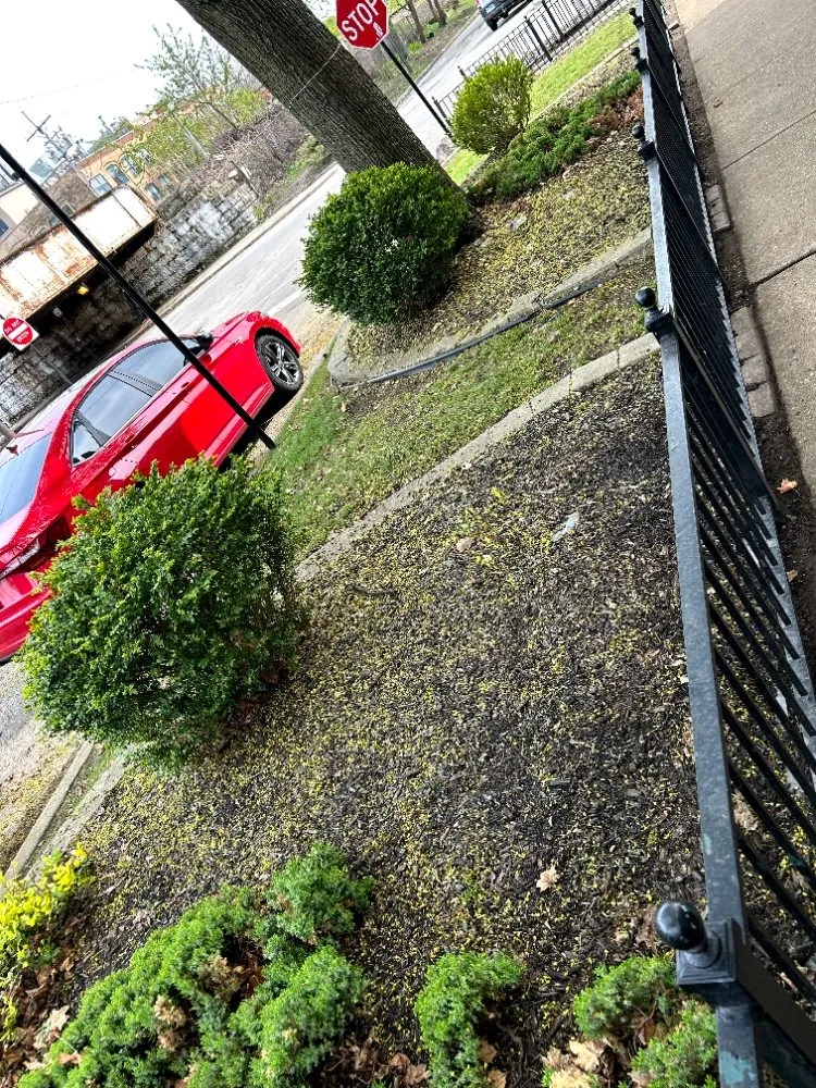 Top-rated outdoor landscaping experts serving Chicago, IL - Adam Does It