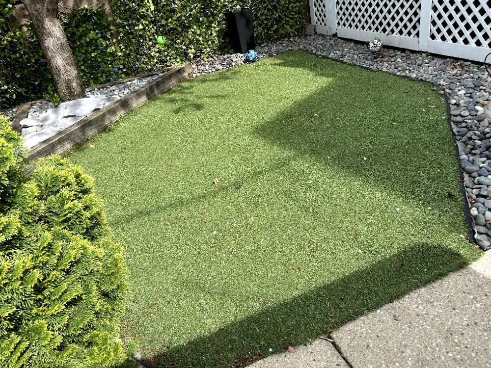 Expert yard cleanup service experts serving Chicago, IL - Adam Does It