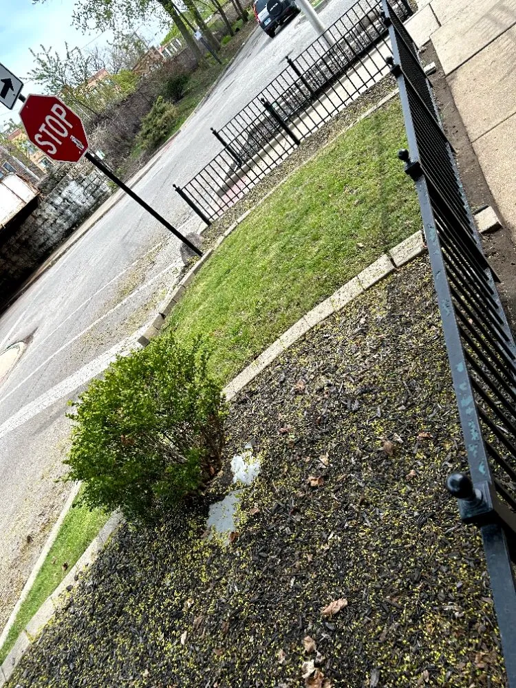 Custom landscape installation experts serving Chicago, IL - Adam Does It