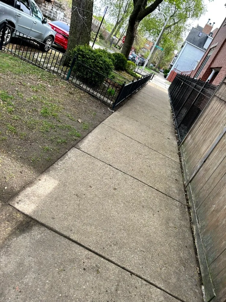 Affordable lawn mowing service in Chicago, IL - Adam Does It