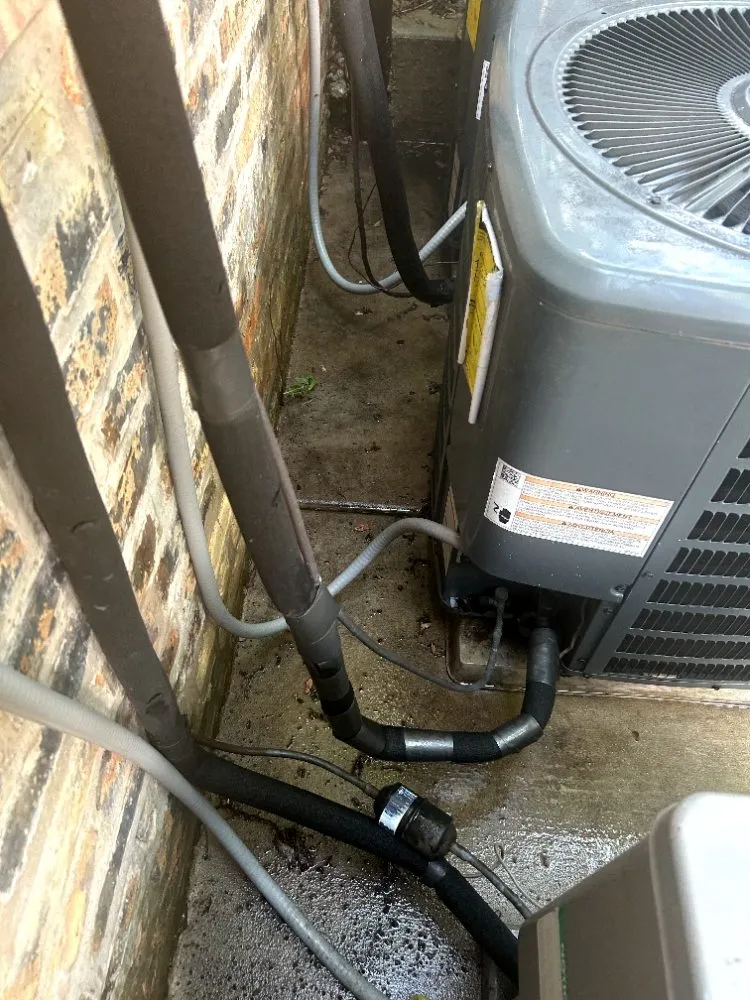 Top-rated outdoor landscaping in Chicago, IL - Adam Does It