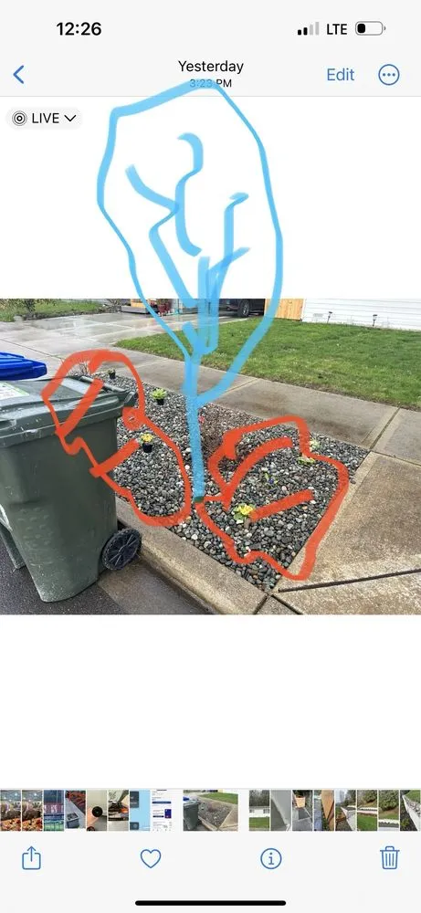 Expert lawn care service with custom design in North Bend, WA by Adam Gorski Landscapes