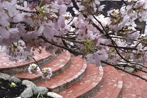 Custom landscaping services in North Bend, WA by Adam Gorski Landscapes