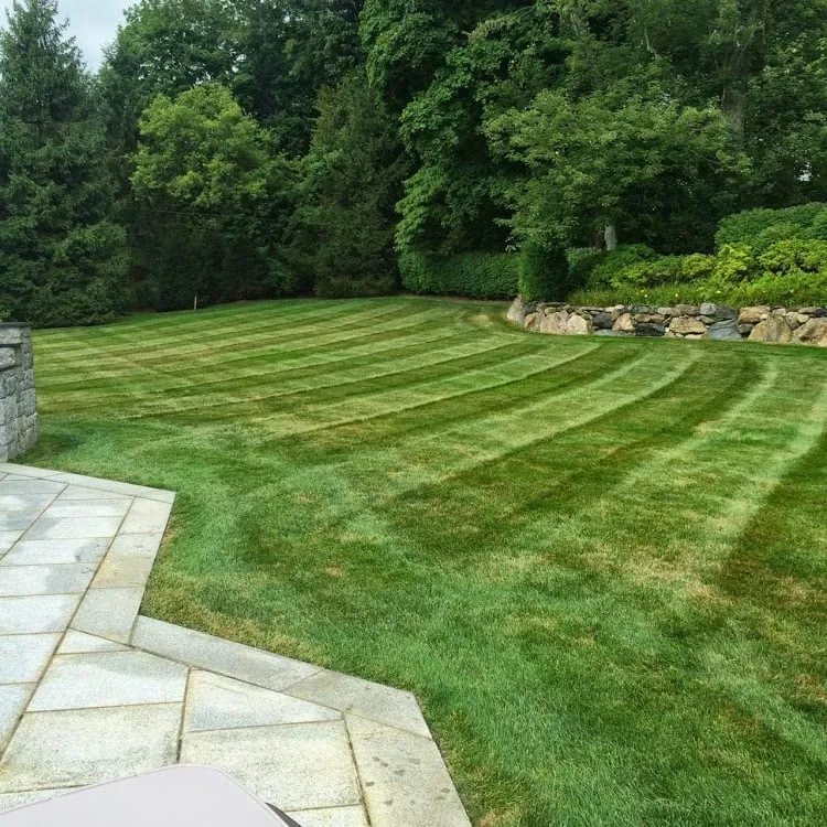 Expert landscape design for year-round maintenance across Port Chester, NY - Adam Landscaping