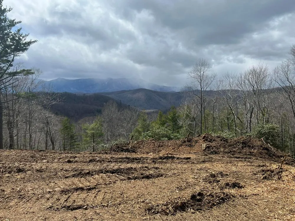 Affordable residential landscaping experts serving Spruce Pine, NC - Adam Young Trucking & Grading