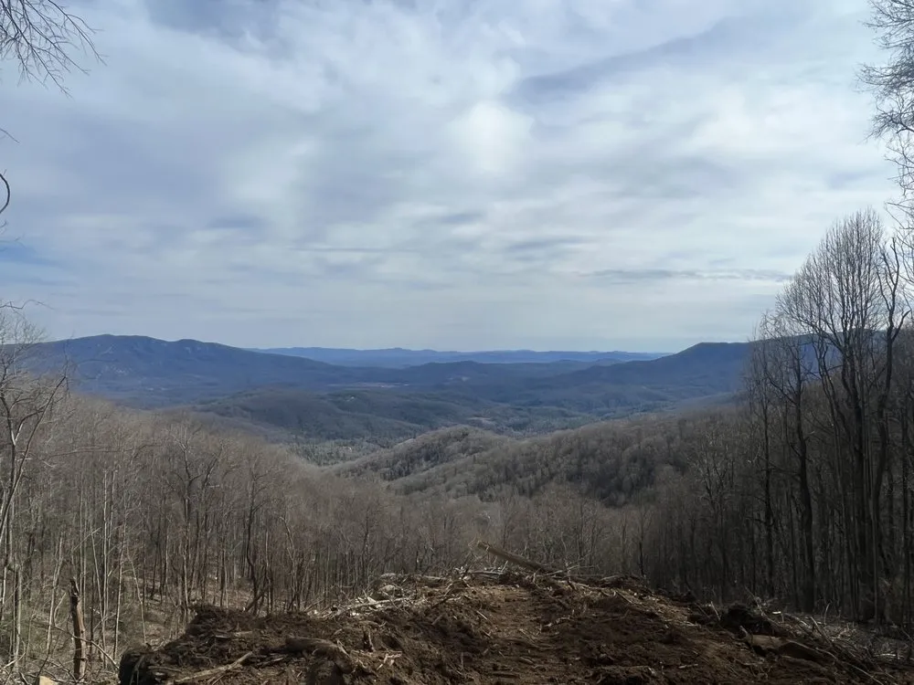 Trusted lawn care service in Spruce Pine, NC - Adam Young Trucking & Grading