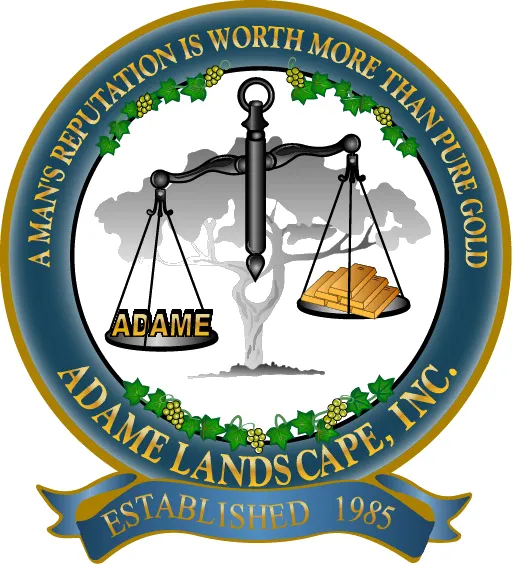 Professional yard cleanup service in Murrieta, CA by Adame Landscape