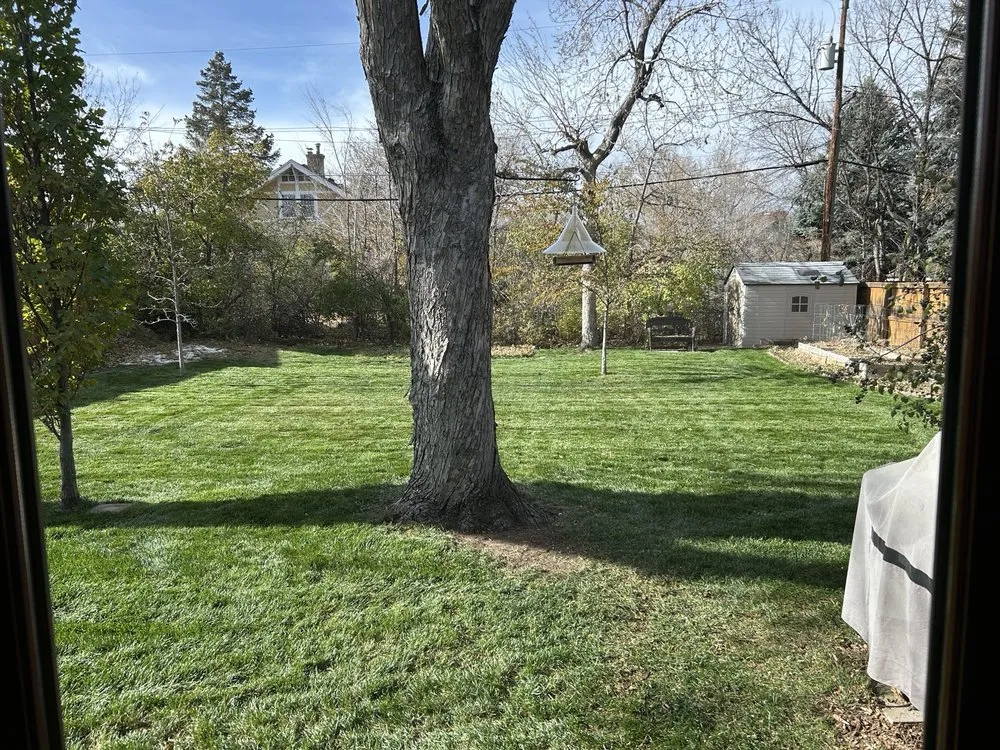 Expert landscaping services in Aurora, CO by Adame Landscaping