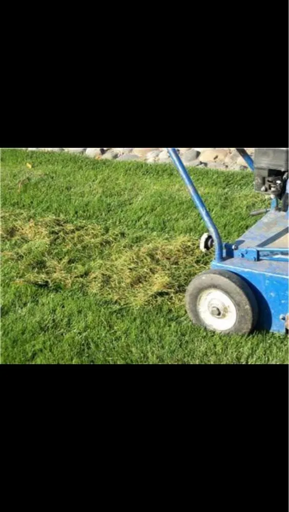 Top-rated yard cleanup service for outdoor upgrades in Aurora, CO by Adame Landscaping