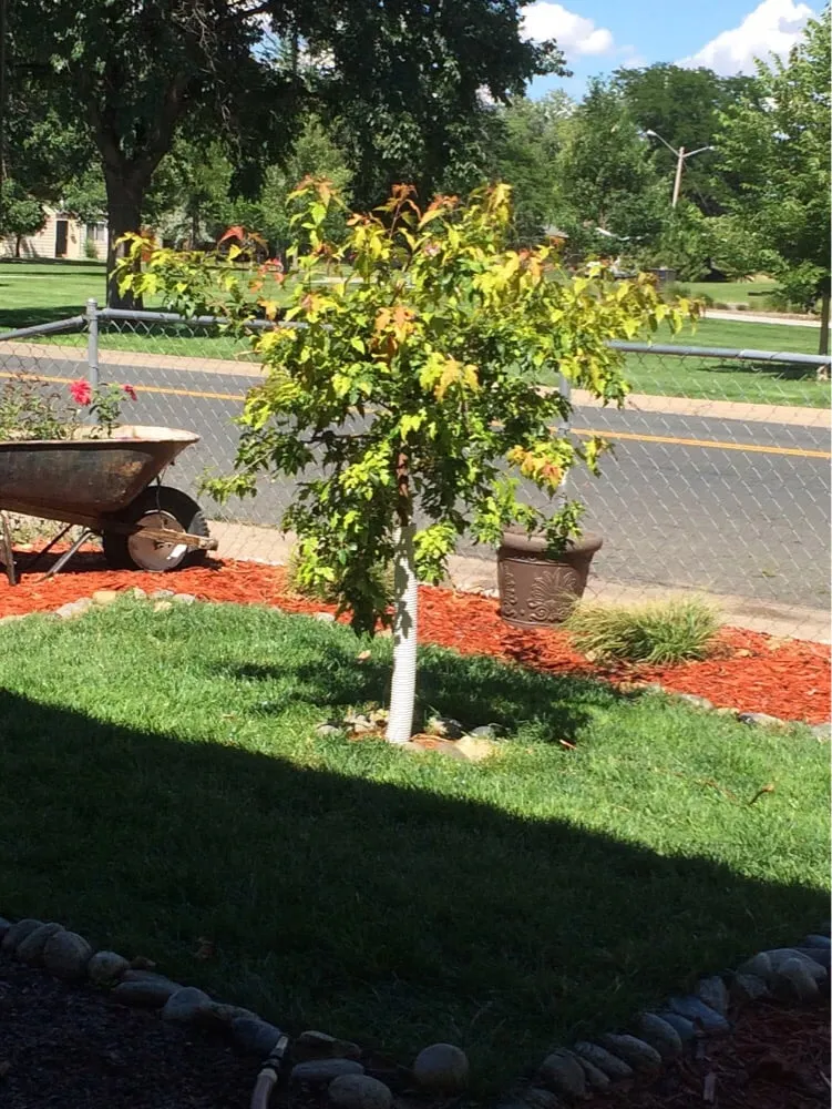 Local landscaping services for residential properties across Aurora, CO - Adame Landscaping