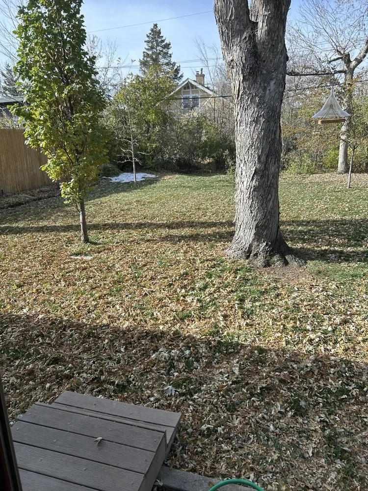 Top-rated residential landscaping for residential properties across Aurora, CO - Adame Landscaping