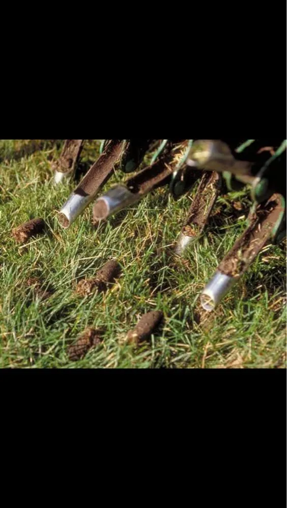 Reliable lawn mowing service for homes across Aurora, CO - Adame Landscaping