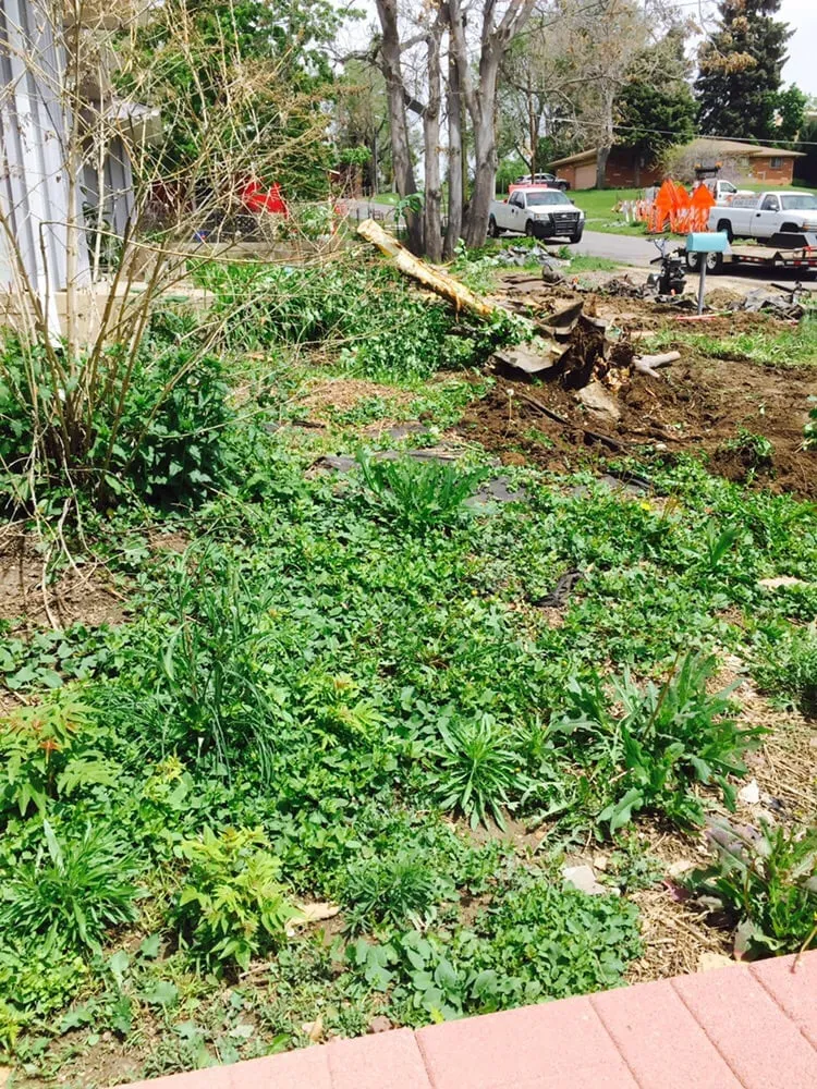 Trusted lawn care service for residential properties in Aurora, CO by Adame Landscaping