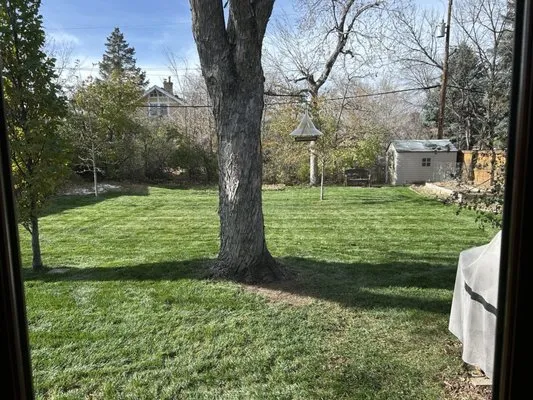 Adame Landscaping Logo