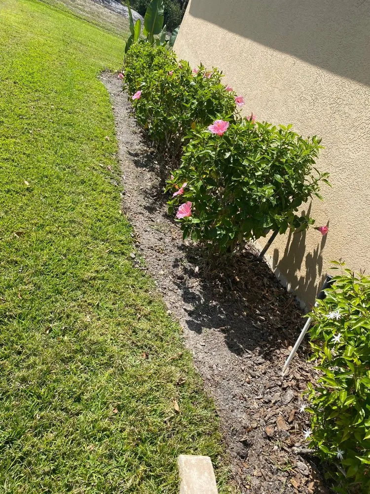 Affordable lawn mowing service in Palmetto, FL by Adame Landscaping