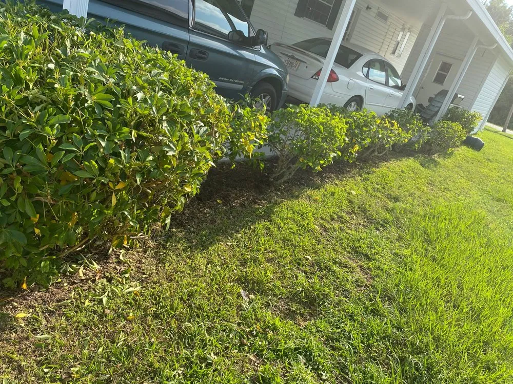 Professional residential landscaping in Palmetto, FL by Adame Landscaping