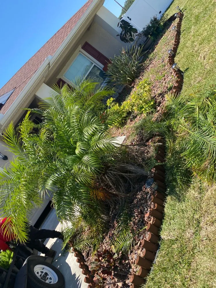 Top-rated garden landscaping for year-round maintenance across Palmetto, FL - Adame Landscaping