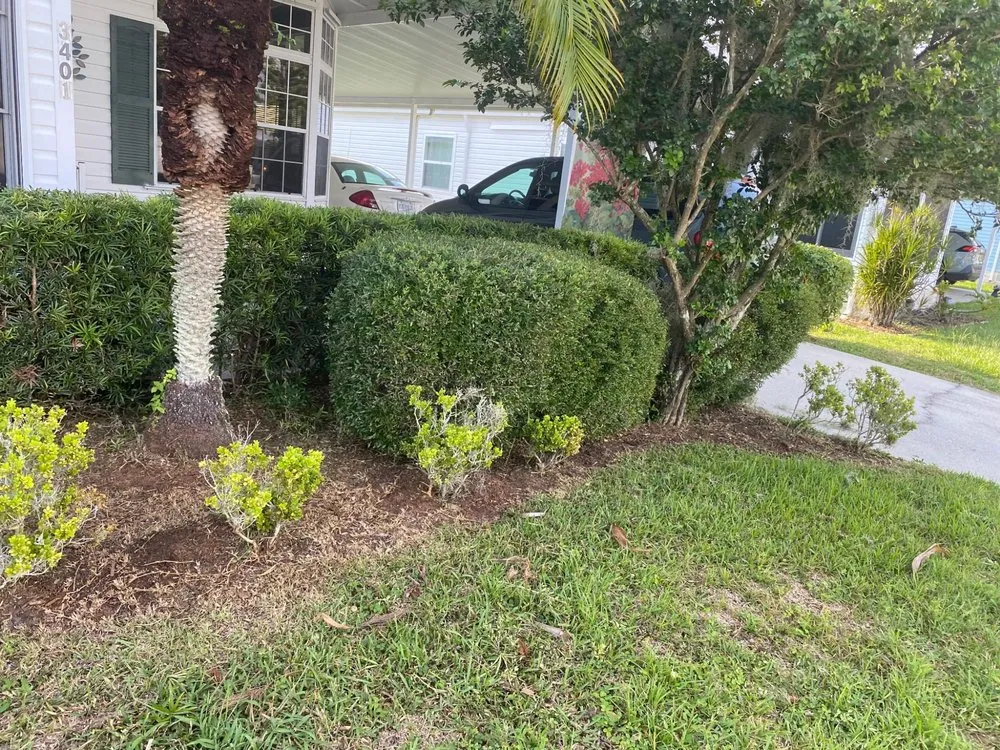 Trusted residential landscaping near you across Palmetto, FL - Adame Landscaping