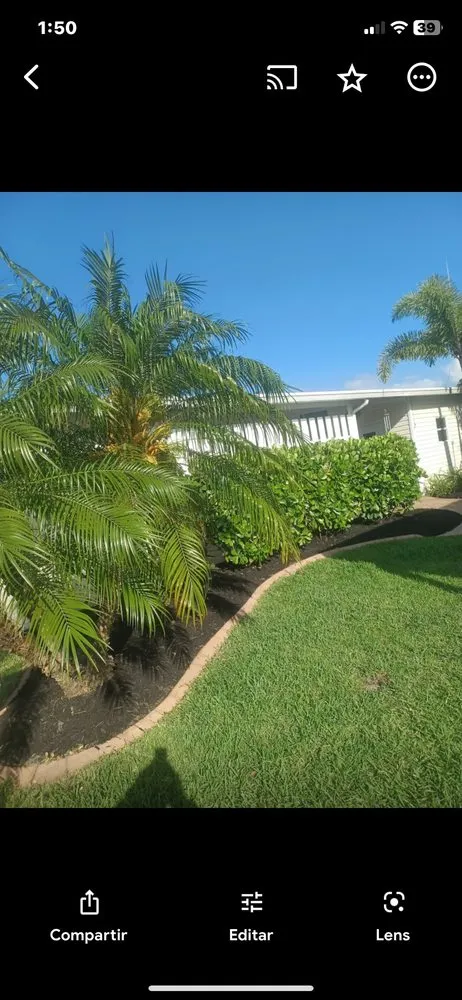 Top-rated landscape installation experts serving Palmetto, FL - Adame Landscaping
