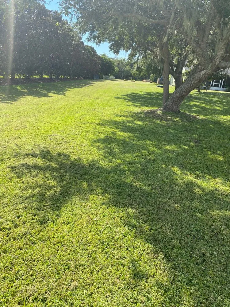 Affordable garden landscaping for year-round maintenance across Palmetto, FL - Adame Landscaping