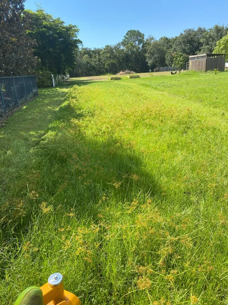 Expert garden landscaping with custom design in Palmetto, FL by Adame Landscaping