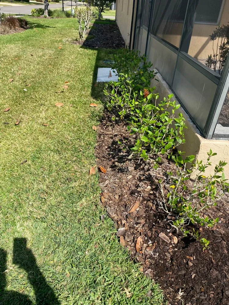 Custom residential landscaping in Palmetto, FL by Adame Landscaping