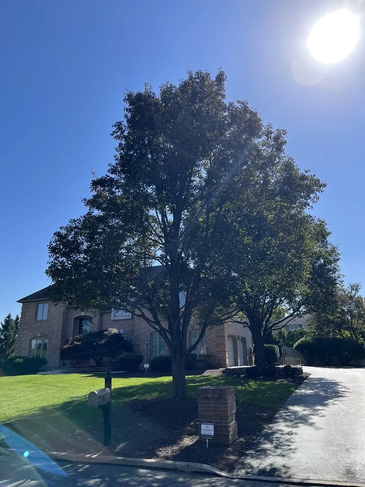 Trusted garden landscaping for outdoor upgrades in Slatington, PA by Adam's Earth Farm and Environmental Services