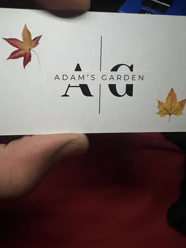 Local residential landscaping experts serving Paradise, CA - Adam’s Garden
