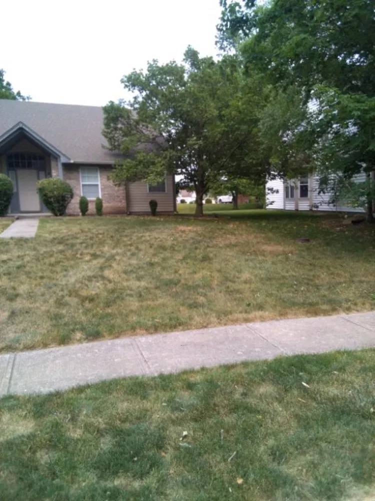 Expert landscape installation in Indianapolis, IN by Adams Handi & Lawn Mowing Services