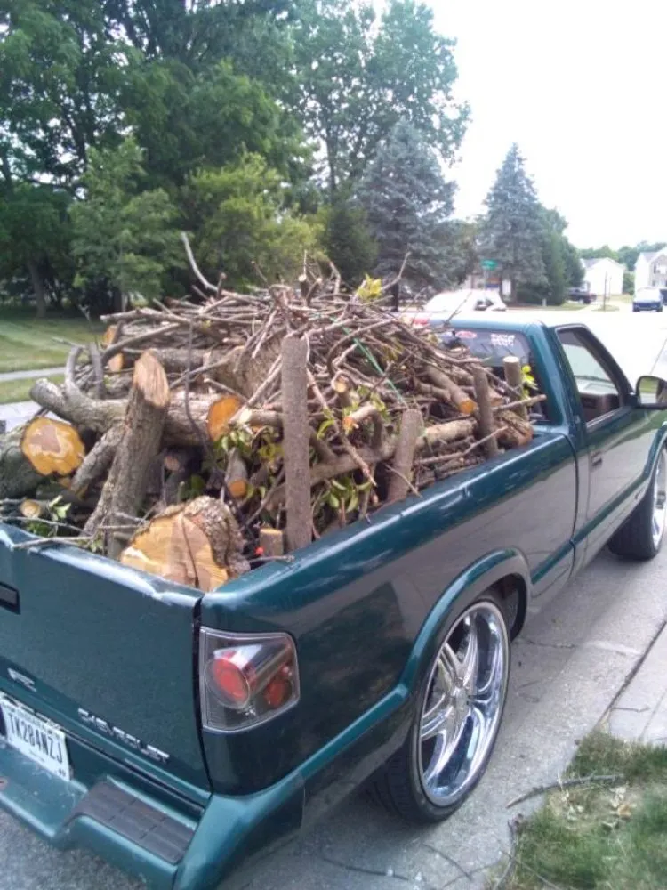 Local landscaping services for beautiful yards across Indianapolis, IN - Adams Handi & Lawn Mowing Services