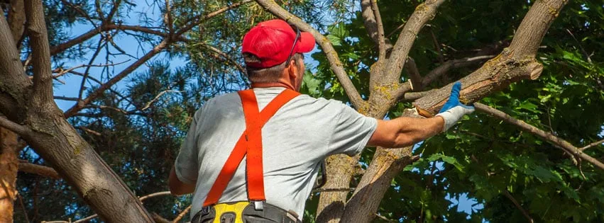 Trusted residential landscaping in Aberdeen, WA by Adams Jack & Lynn
