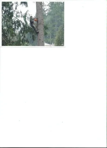 Local landscape design for homes across Aberdeen, WA - Adams Jack & Lynn