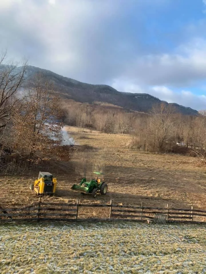 Reliable yard cleanup service in North Tazewell, VA by Adam's Land Improvements