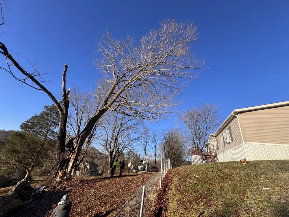 Top-rated garden landscaping for residential properties in North Tazewell, VA by Adam's Land Improvements