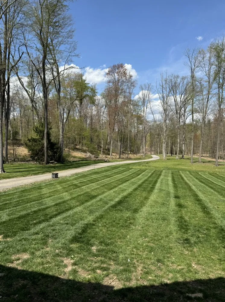 Professional residential landscaping experts serving Houtzdale, PA - Adams Land Works