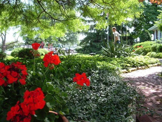 Top-rated lawn care service experts serving Fort Wayne, IN - Adams Landscape Management