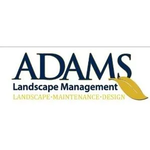 Expert yard cleanup service experts serving Fort Wayne, IN - Adams Landscape Management
